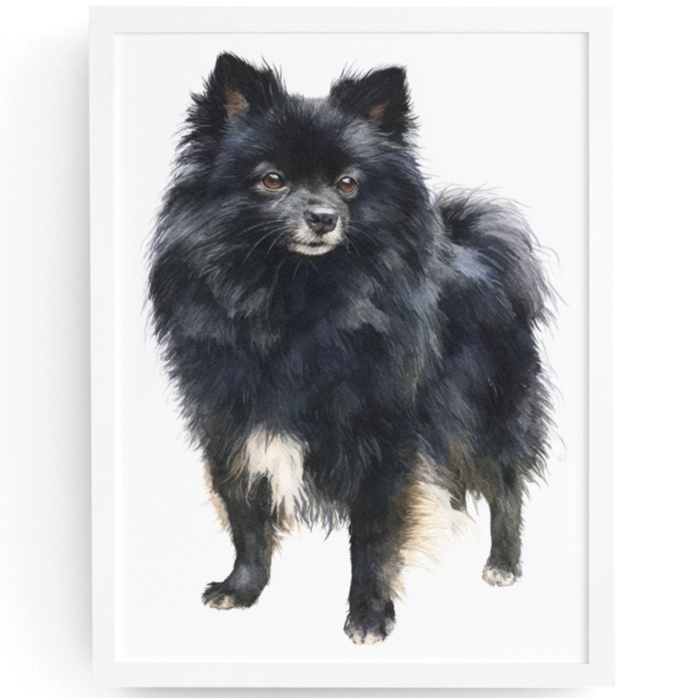 Watercolor Black Pomeranian Dog Portrait Art Print – Unframed Fine Art Poster